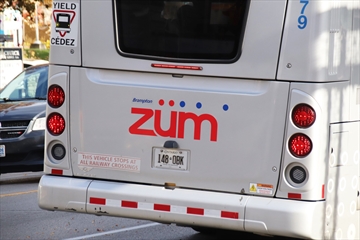 Brampton%20Transit%20stock%201%201_Conte