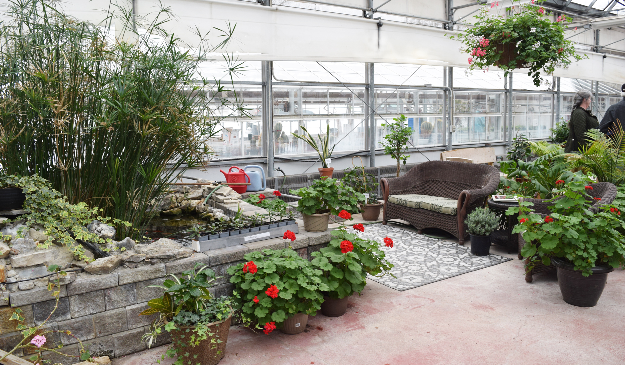 Kemptville Campus greenhouses open for community access, gardening
