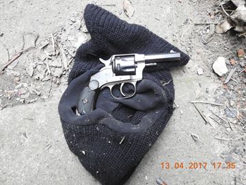 GUNS___Content.jpg