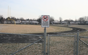 MacNab_field_EMMA_Content.jpg