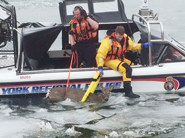 UPDATED: It was heart-wrenching watching deer struggle in icy water