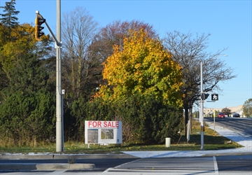 DSC_0003_Content.jpg