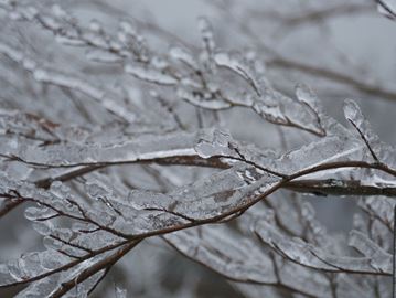Freezing_rain_Content.jpg