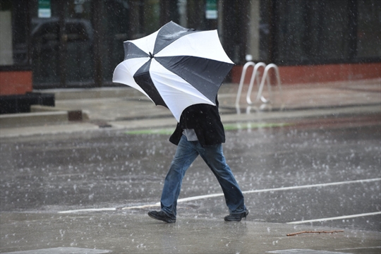 Warm Wet Windy Waterloo Region Gets Brief Respite From Cold