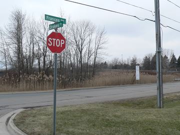 P1220286___Content.jpg