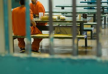 INMATES___Content.jpg