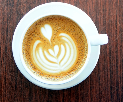 new buzz coming to guelph s downtown coffee scene new buzz coming to guelph s downtown coffee scene