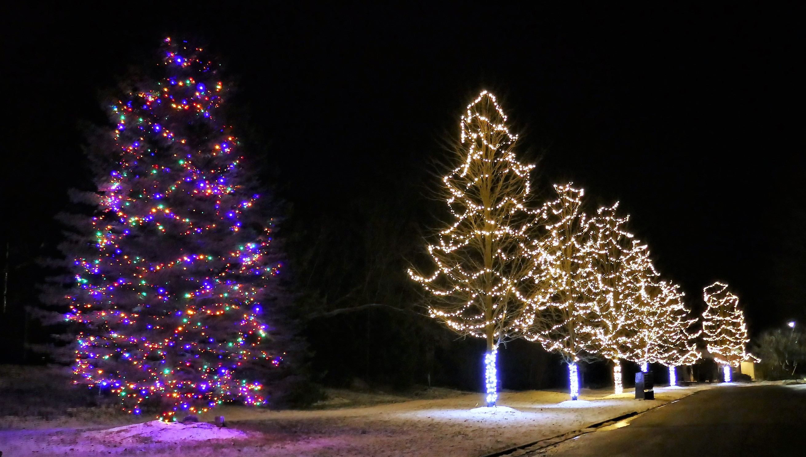 purchase christmas lights