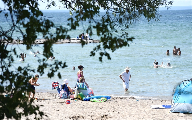 Sandy Beaches In York Region Dip Your Toes In Waters Of Lake Simcoe