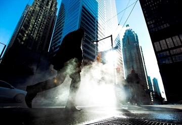 CPT501462233_Content.jpg