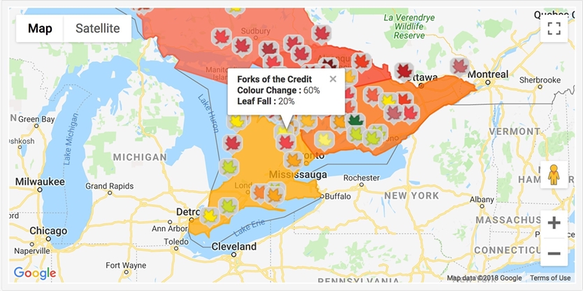 DID YOU KNOW? You Can Track Fall Colour Foliage Reports With This ...