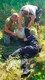 NYSH201-917_2018_202453_Content.jpg