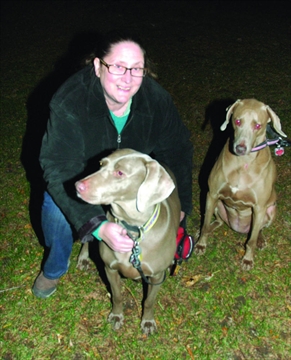 Welcome Home A Weim Niagarathisweek Com