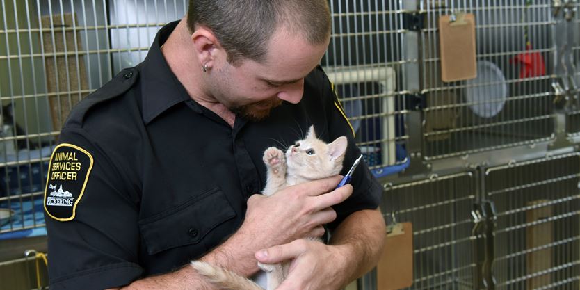 Pickering to provide animal shelter services to neighbour
