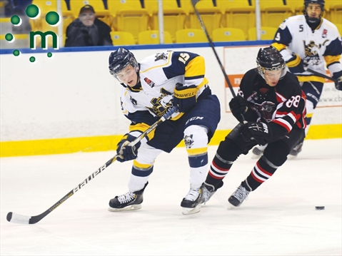 whitby panthers fury pickering