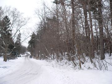 P1120747___Content.jpg