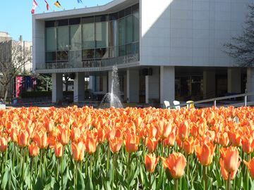 P1230120___Content.jpg