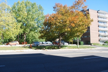 DSC%208207_Content.jpg