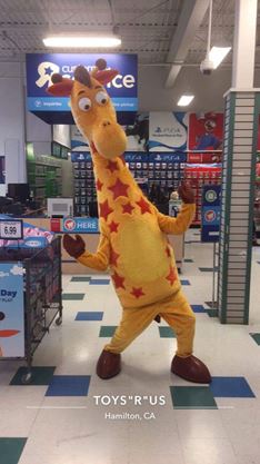 toysrus hamilton