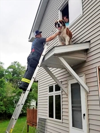 CER101-612_2018_182445_Content.jpg