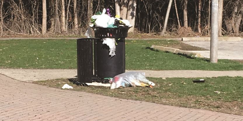 Pickering Residents Sick Of Drugs Sex Litter In Pinegrove Park