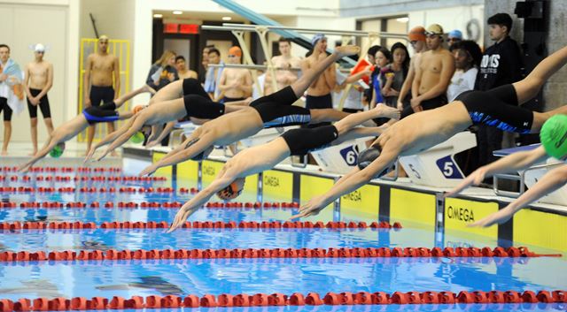 Mississauga swimmers reach OFSAA  Mississauga.com