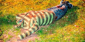 FOS102-416_2018_071418_Content.jpg