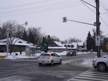 P1120773_Content.jpg