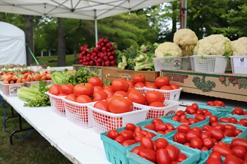 FarmersMarketProduceStock_Content.jpg