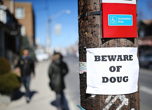 Dog Gone Right Review Toronto Dog Gone Right Review Toronto
