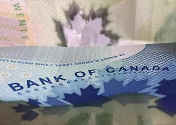 CPT503469811_Content.jpg