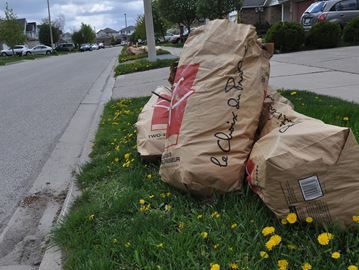 The city is increasing its yard waste collection period from two weeks to four. Bagged yard waste collection will take place on grey cart collection days between Oct. 11 and Nov. 4.