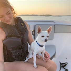 Audrey Benneyworth and Ollie. Audrey's mother, Julie, says their Chihuahua was killed by a coyote on March 27.