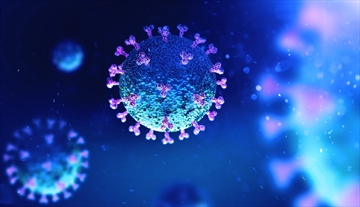 shutterstock%20coronavirus10_Content.jpg