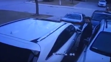car_thief_Content.jpg