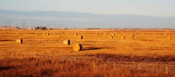 CPT111449356_Content.jpg