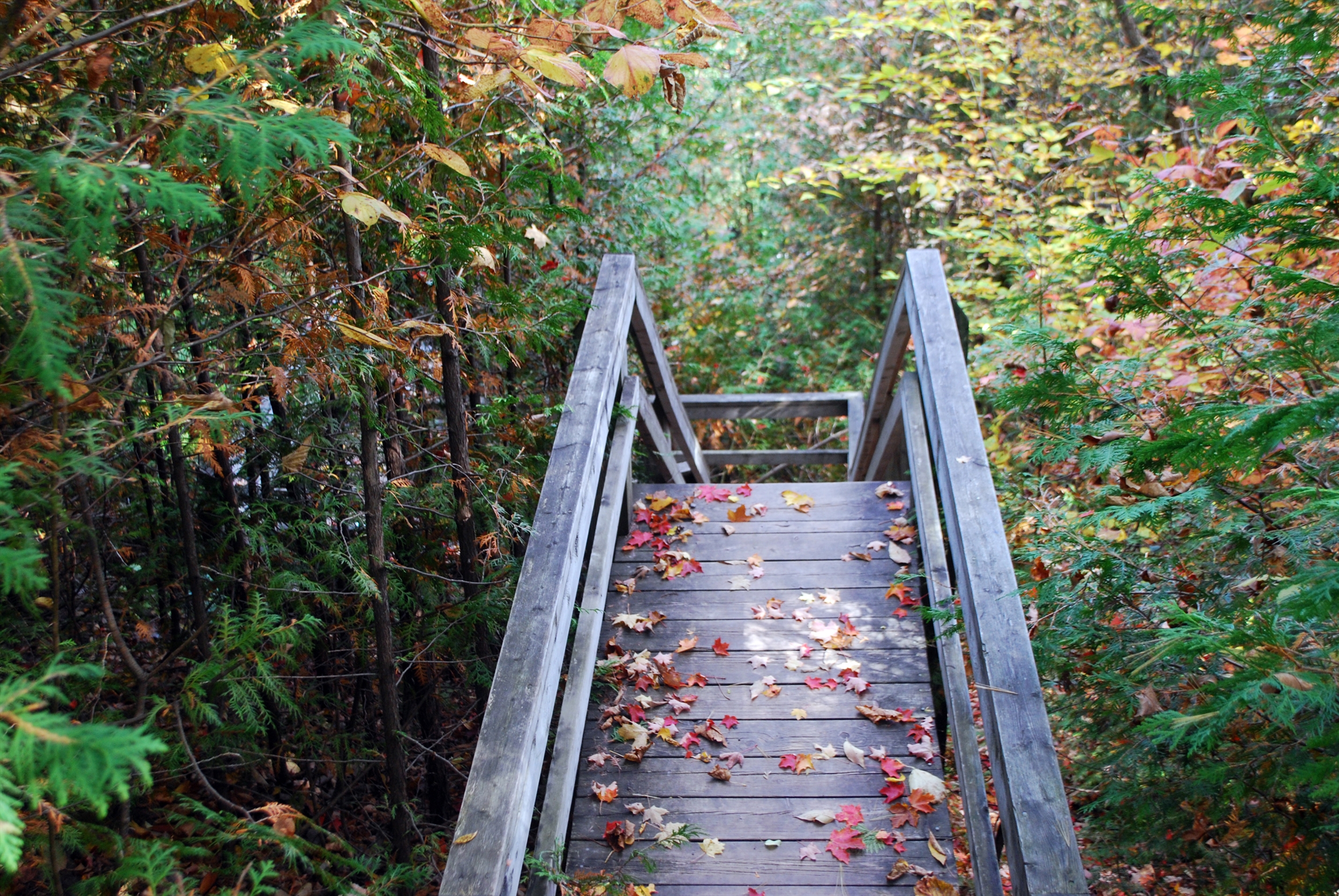 Top 10 places to enjoy nature in Durham