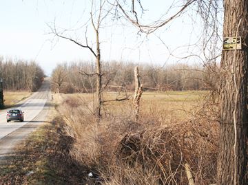 Saltfleet_marsh_area___Content.jpg