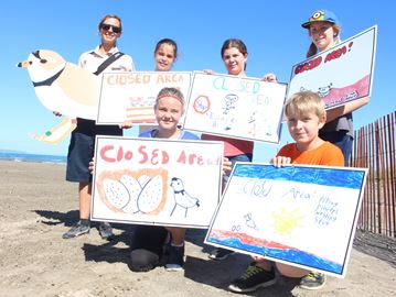 Wasaga's piping plovers could set chick record in 2016