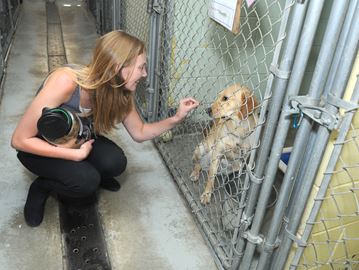 Northumberland Humane Society general manager Kate Lennan offered Mike a treat at the Humane Society's shelter in Port Hope. Mike is one of the 57 dogs removed in a cruelty investigation in Colborne.