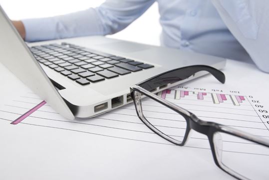 Minority entrepreneurship term paper