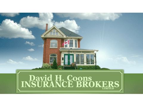 Options insurance brokers limited