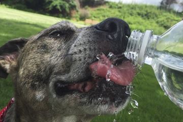 DRINK___Content.jpg
