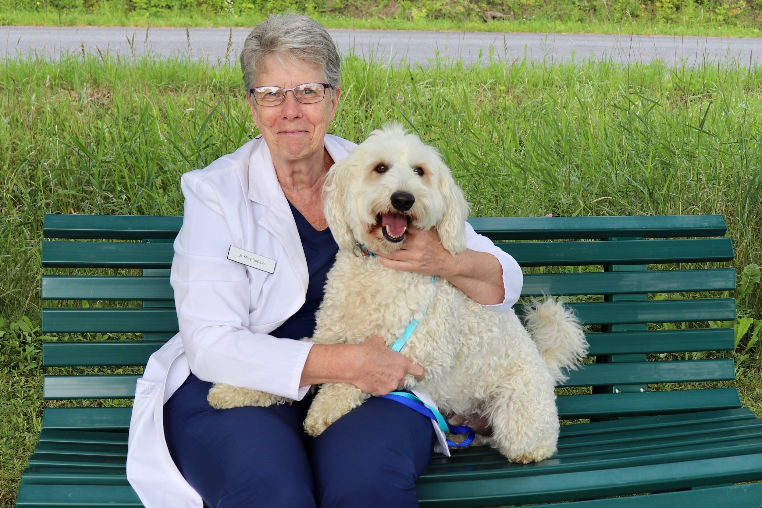 After-hours vet care 'desperately needed in Muskoka' says Gravenhurst pet  owner 