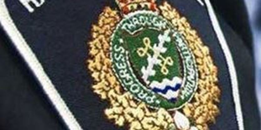 Police And Ospca Investigating After Milton Video Of Cow Being