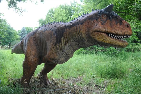 Indian river reptile zoo discount coupons