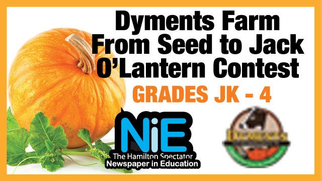 Jack o lantern blaze coupon code