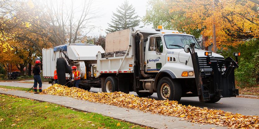 Looseleaf collection in Burlington begins Nov. 6  InsideHalton.com