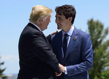 MEETING___Content.jpg