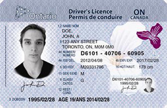Condition y ontario drivers license